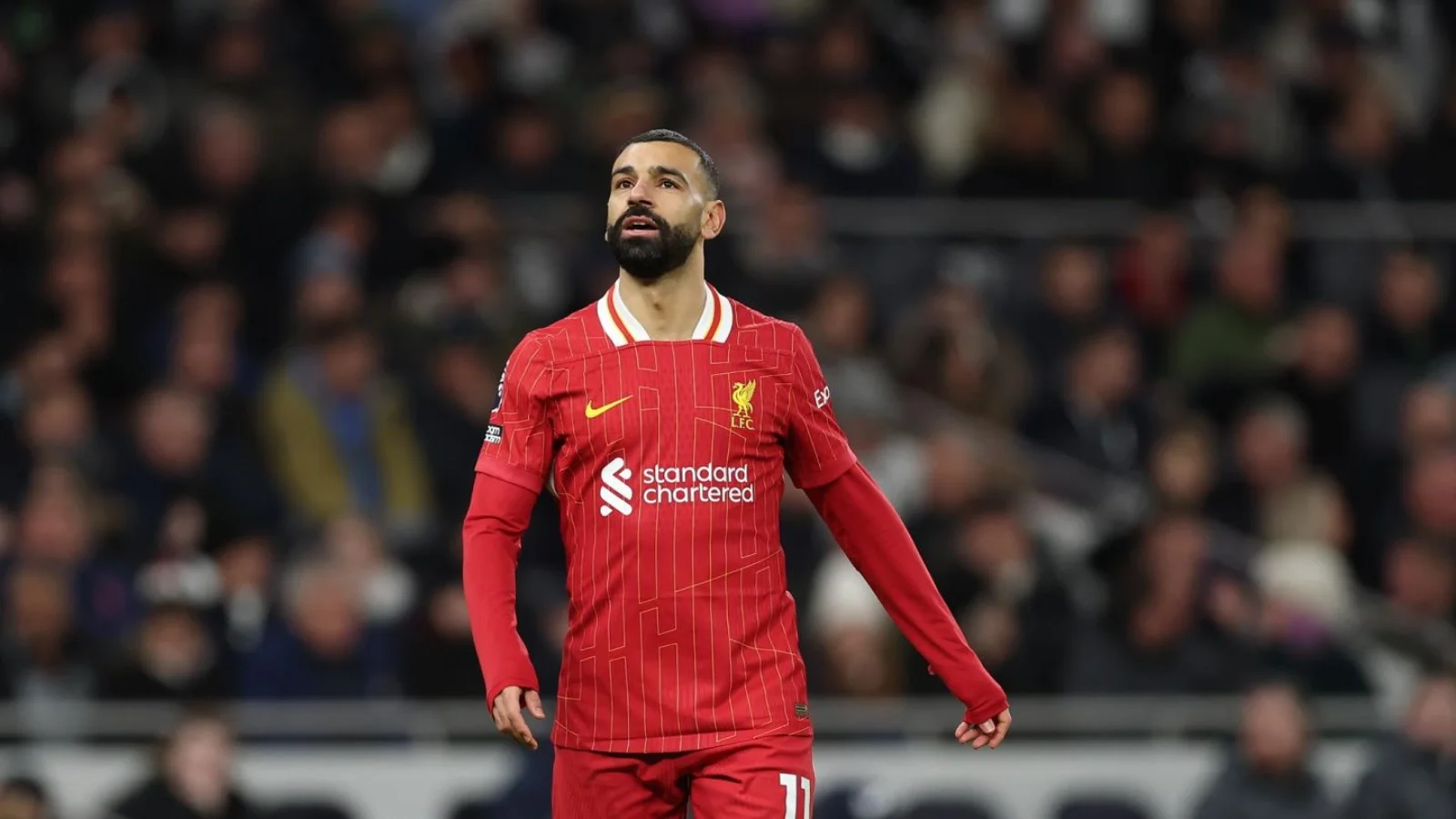 سيلفا وصلاح وفينيسيوس.. بورصة روشن تشتعل في صيف 2026 سيلفا وصلاح وفينيسيوس.. بورصة روشن تشتعل في صيف 2026